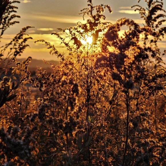 Meet your Posher, Crissy - Picture 15 of 15